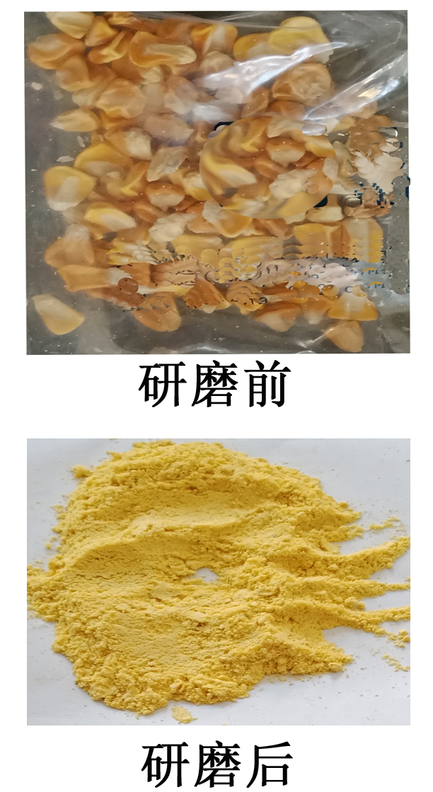 宣傳刪粉碎后的照片1.jpg