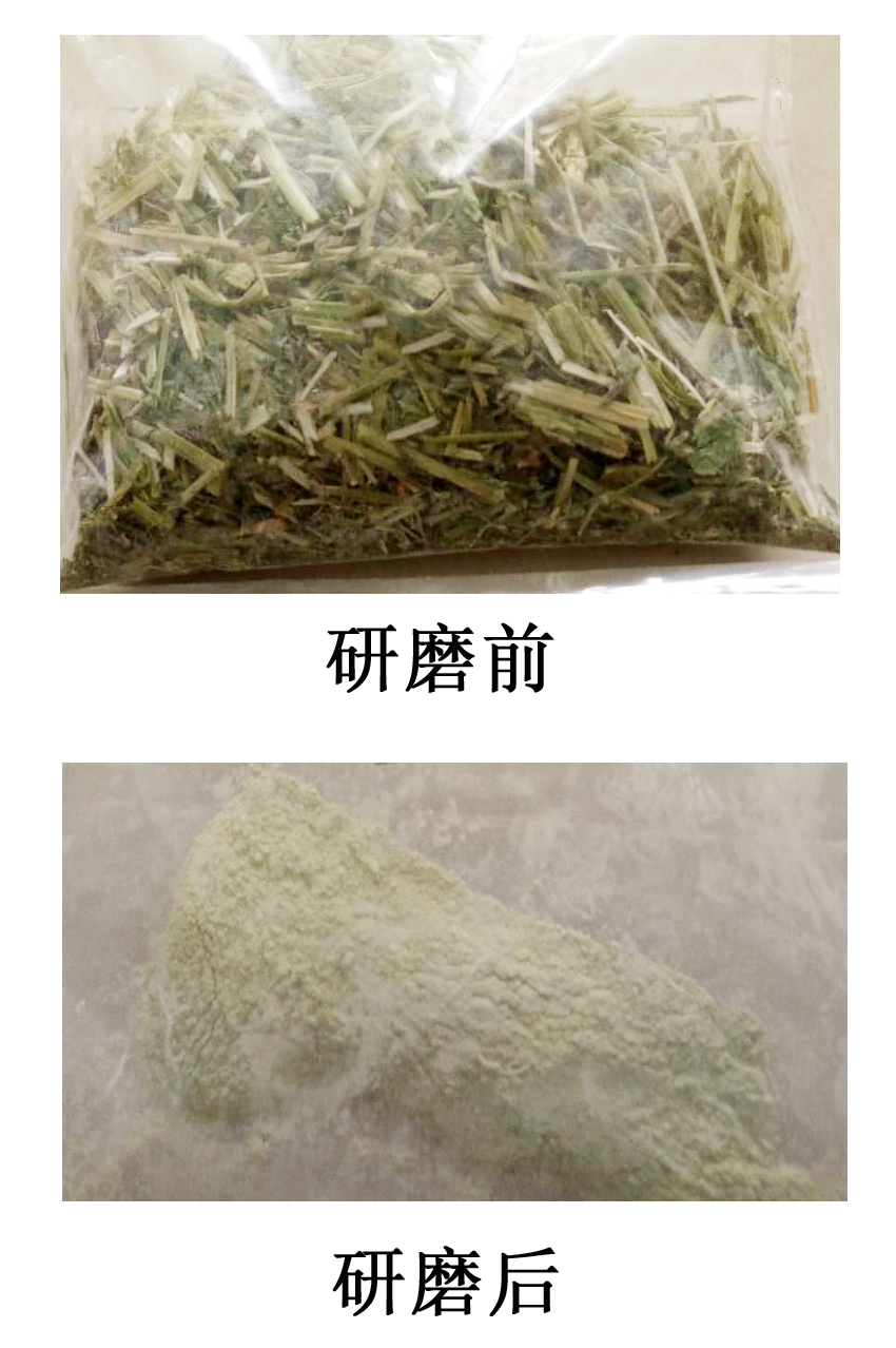 宣傳刪粉碎后的照片.jpg